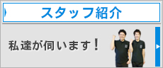 スタッフ紹介